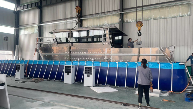 Iate luxuoso do barco de vela do catamarã do iate de alumínio da velocidade do passageiro de 11.6m